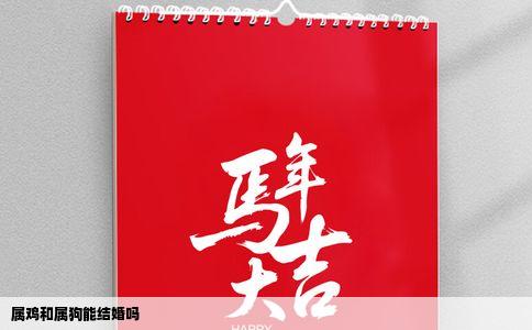 属鸡和属狗能结婚吗