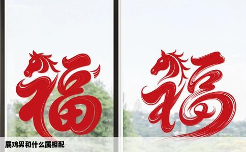 属鸡男和什么属相配