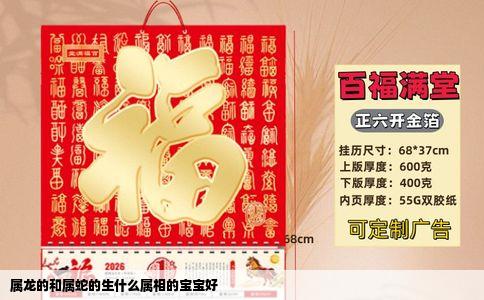 属龙的和属蛇的生什么属相的宝宝好