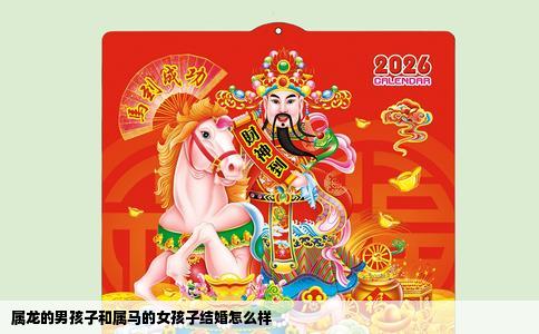 属龙的男孩子和属马的女孩子结婚怎么样