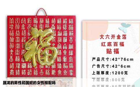 属龙的男性和属蛇的女性相配吗