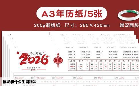 属龙和什么生肖相冲