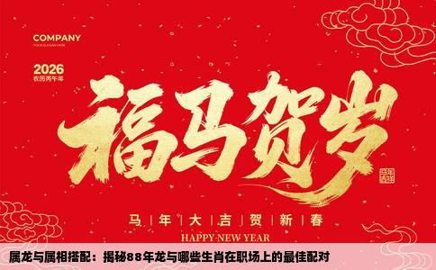 属龙与属相搭配：揭秘88年龙与哪些生肖在职场上的最佳配对