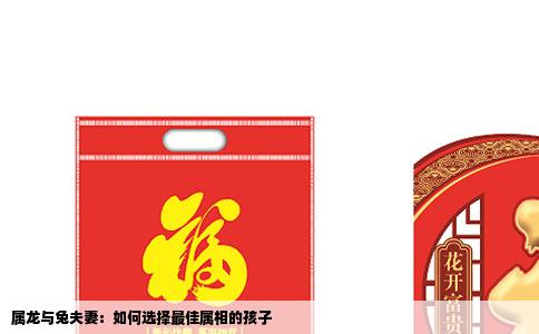 属龙与兔夫妻：如何选择最佳属相的孩子