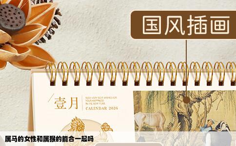 属马的女性和属猴的能合一起吗