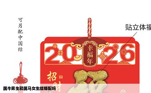 属牛男生和属马女生结婚配吗