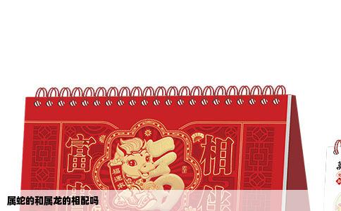 属蛇的和属龙的相配吗