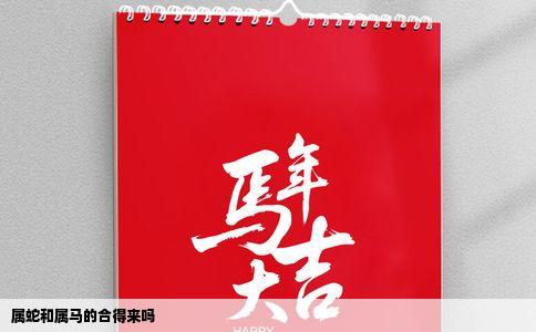 属蛇和属马的合得来吗