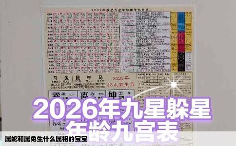 属蛇和属兔生什么属相的宝宝