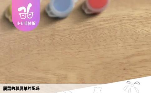 属鼠的和属羊的配吗