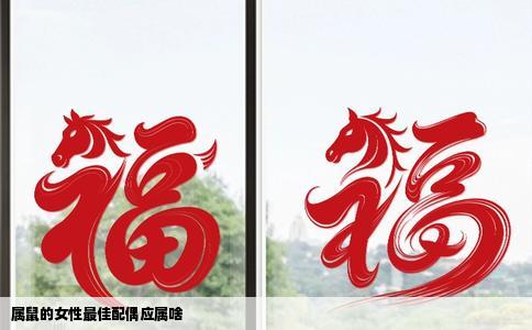 属鼠的女性最佳配偶应属啥