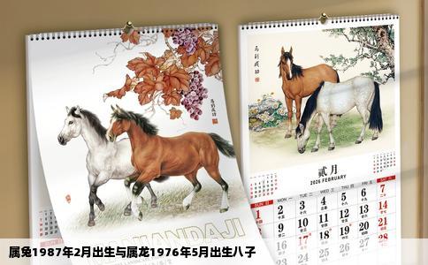 属兔1987年2月出生与属龙1976年5月出生八子