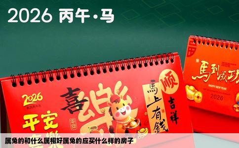 属兔的和什么属相好属兔的应买什么样的房子