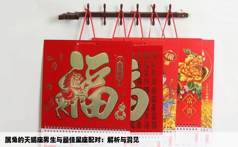 属兔的天蝎座男生与最佳星座配对：解析与洞见