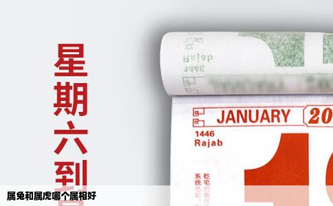 属兔和属虎哪个属相好