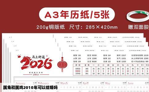属兔和属鸡2010年可以结婚吗
