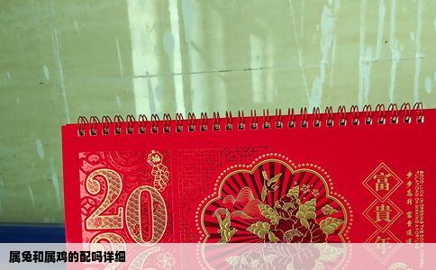 属兔和属鸡的配吗详细