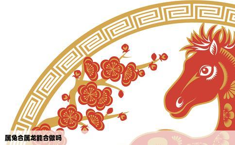 属兔合属龙能合做吗