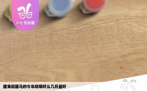 属兔和属马的今年结婚好么几月最好