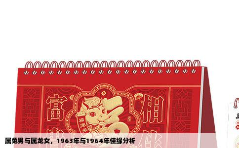 属兔男与属龙女，1963年与1964年佳缘分析
