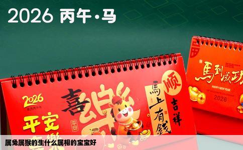 属兔属猴的生什么属相的宝宝好