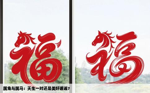 属兔与属马：天生一对还是美好邂逅？