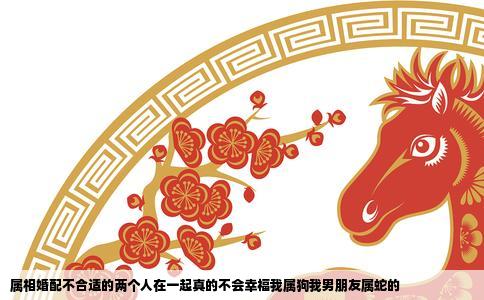 属相婚配不合适的两个人在一起真的不会幸福我属狗我男朋友属蛇的
