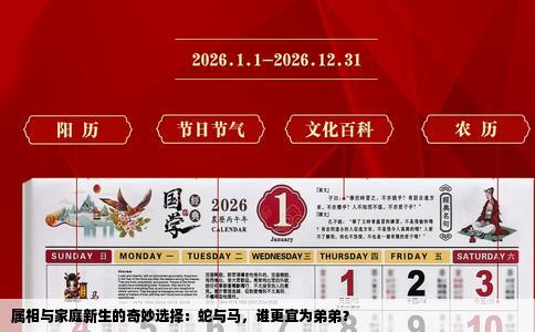 属相与家庭新生的奇妙选择：蛇与马，谁更宜为弟弟？