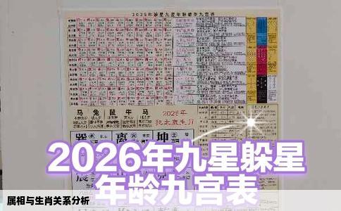 属相与生肖关系分析