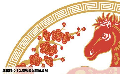 属猪的和什么属相最配最合适呢
