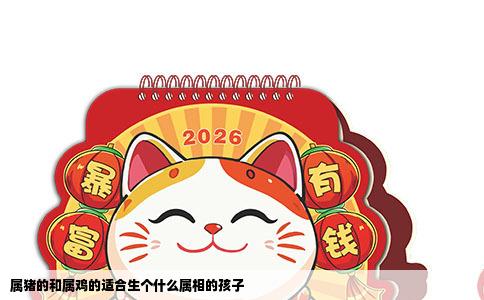 属猪的和属鸡的适合生个什么属相的孩子