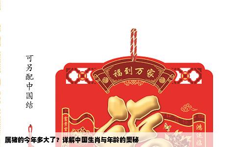 属猪的今年多大了？详解中国生肖与年龄的奥秘