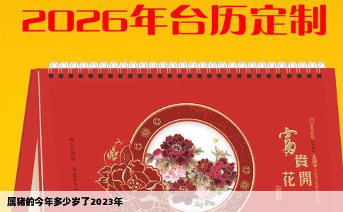 属猪的今年多少岁了2023年