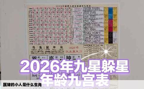 属猪的小人是什么生肖