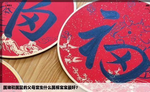 属猪和属鼠的父母宜生什么属相宝宝最好？