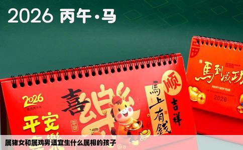 属猪女和属鸡男适宜生什么属相的孩子
