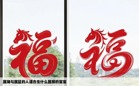 属猪与属鼠的人适合生什么属相的宝宝