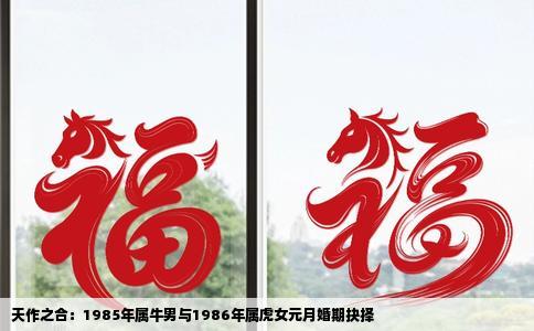 天作之合：1985年属牛男与1986年属虎女元月婚期抉择