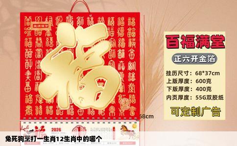 兔死狗烹打一生肖12生肖中的哪个