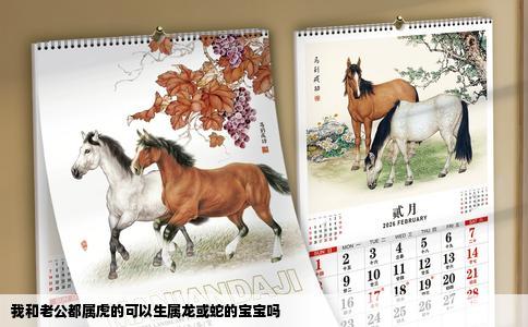 我和老公都属虎的可以生属龙或蛇的宝宝吗