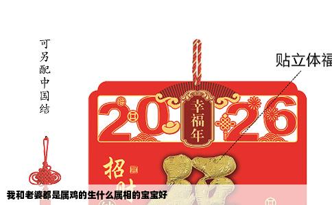 我和老婆都是属鸡的生什么属相的宝宝好