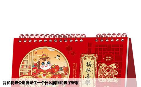 我和我老公都属龙生一个什么属相的孩子好啊