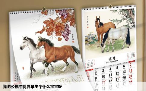我老公属牛我属羊生个什么宝宝好