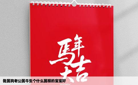 我属狗老公属牛生个什么属相的宝宝好