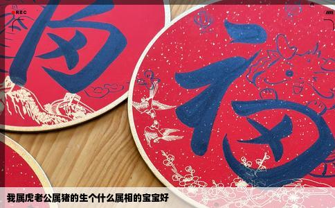 我属虎老公属猪的生个什么属相的宝宝好