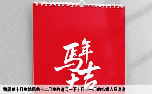 我属龙十月生她属兔十二月生的请问一下十月十一月的结婚吉日谢谢