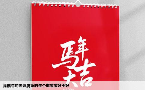 我属牛的老婆属兔的生个虎宝宝好不好