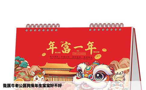 我属牛老公属狗兔年生宝宝好不好