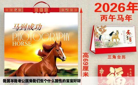 我属羊我老公属兔我们生个什么属性的宝宝好呀