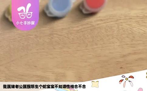 我属猪老公属猴想生个蛇宝宝不知道性格合不合